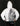 BSAT Praying Skull Jacket