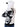 BSAT Crown Skull ZipHoodie White