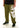 Cali Skull Sweatpants Olive by BSAT