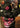 NoLimits Funky Urban Art ZipHoodie